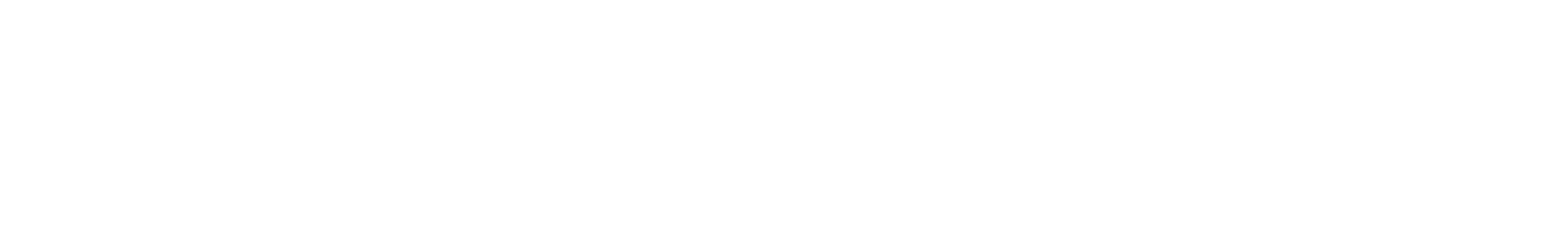 VestPrimer